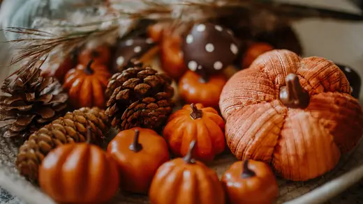 6 Cute Fall and Halloween Products for Anyone Who Does Not Care to Be Spooked, Thank You Very Much article