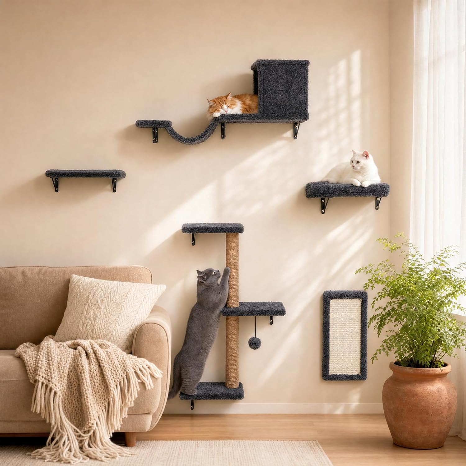 6-Piece Cat Wall Shelf Set Review: Is It Worth It? article